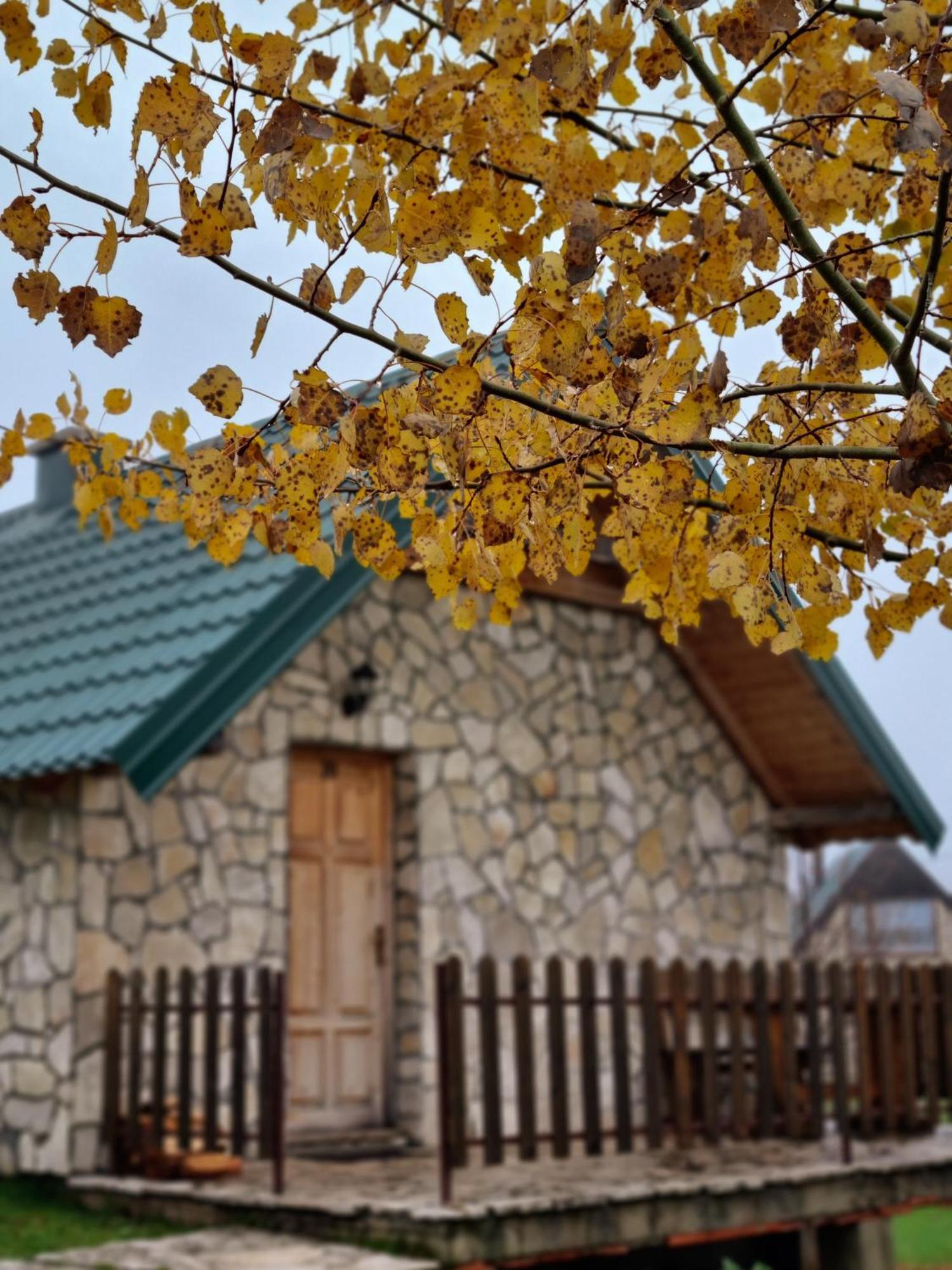 Villa Etno Selo Izlazak Rudinice Habitación foto
